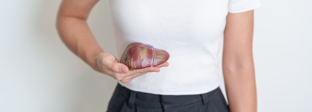 Person holding fake liver in place of where real liver is located in bod